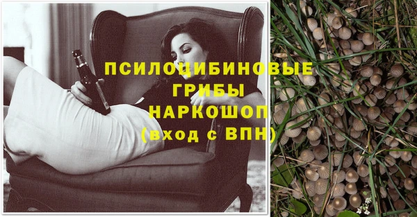 ПСИЛОЦИБИНОВЫЕ ГРИБЫ Балахна