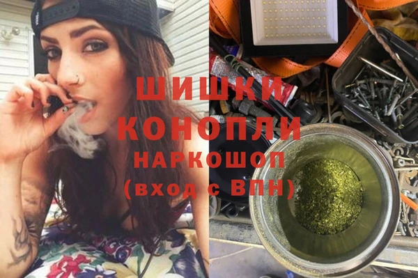 ПСИЛОЦИБИНОВЫЕ ГРИБЫ Балахна