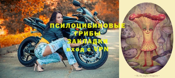 ПСИЛОЦИБИНОВЫЕ ГРИБЫ Балахна