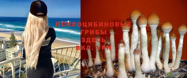 а пвп мука Баксан