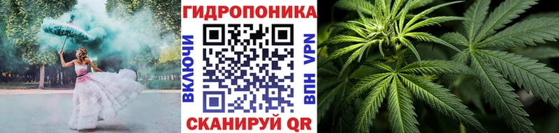 купить   Горячий Ключ  Бошки Шишки планчик 